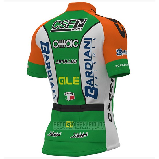 2018 Fahrradbekleidung Bardiani Csf Grun und Wei Trikot Kurzarm und Tragerhose